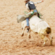 Bull Riding Spurs